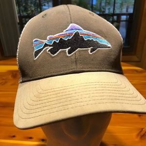 Mens Patagonia Fitz Roy Trout Hat